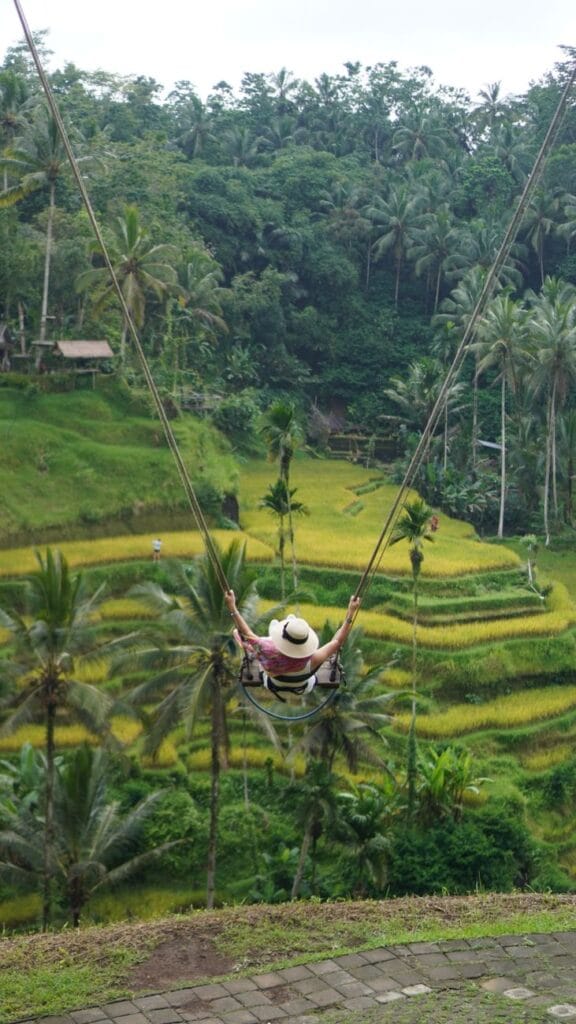 woman swinging over tegalalang rice terraces