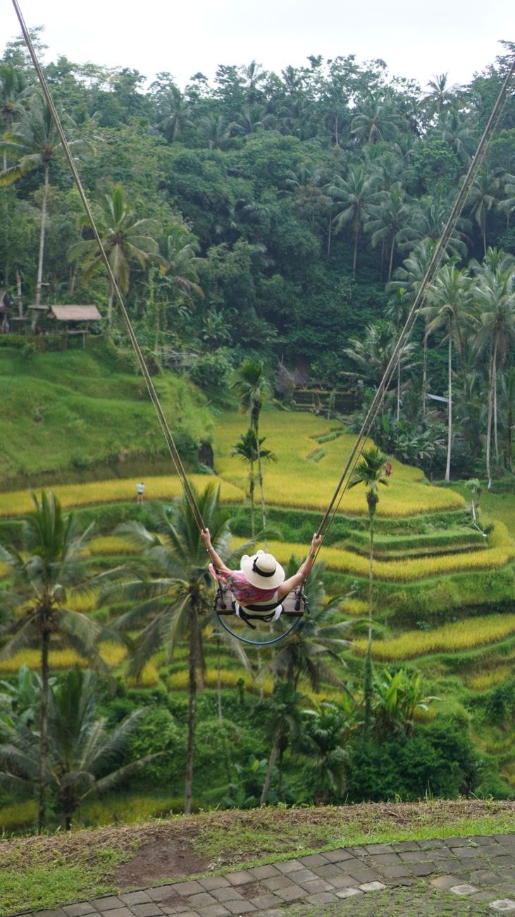 woman swinging over tegalalang rice terraces